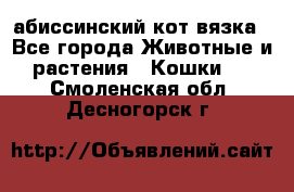 абиссинский кот вязка - Все города Животные и растения » Кошки   . Смоленская обл.,Десногорск г.